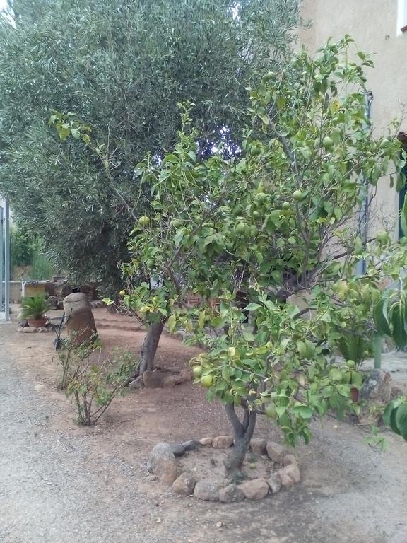 B&B Il Vigneto Capoterra Ngoại thất bức ảnh
