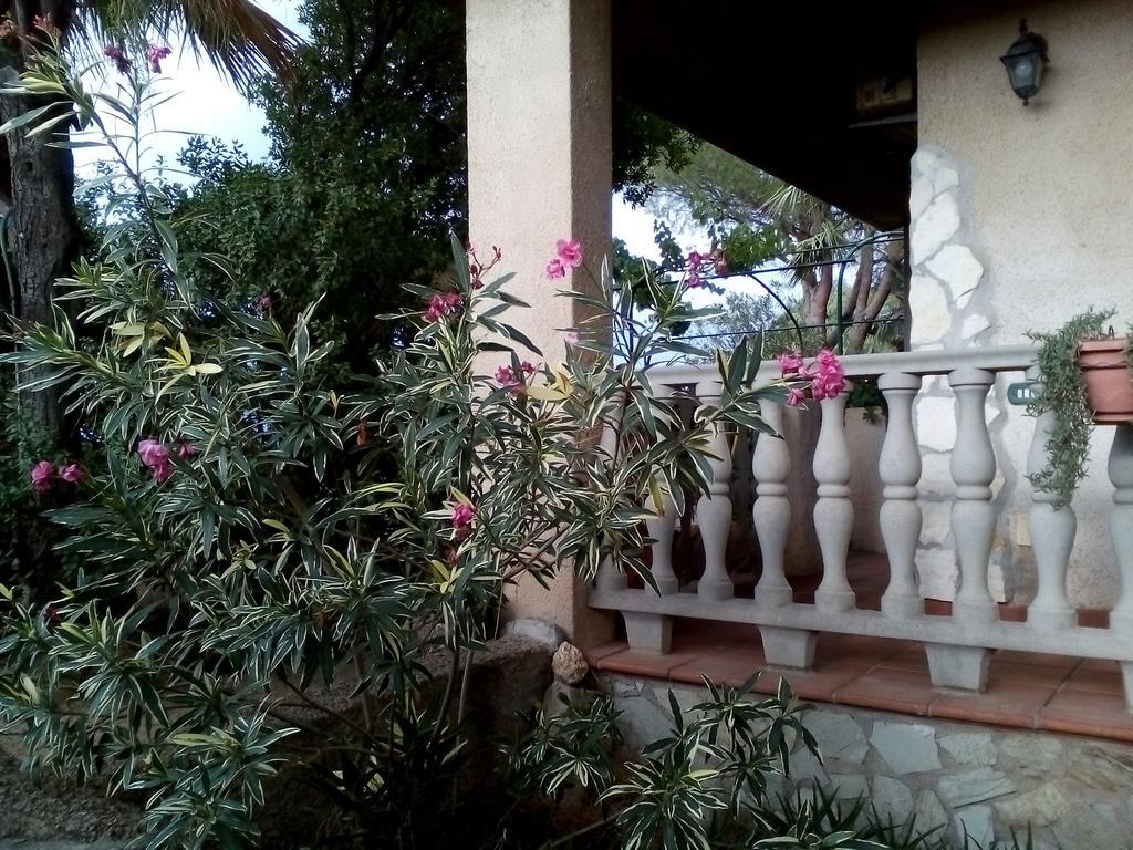 B&B Il Vigneto Capoterra Ngoại thất bức ảnh